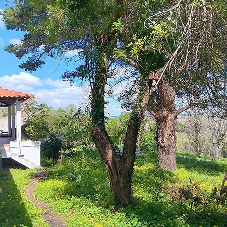 Quintinha A 35Min De Lisboa Villa Мафра Екстериор снимка
